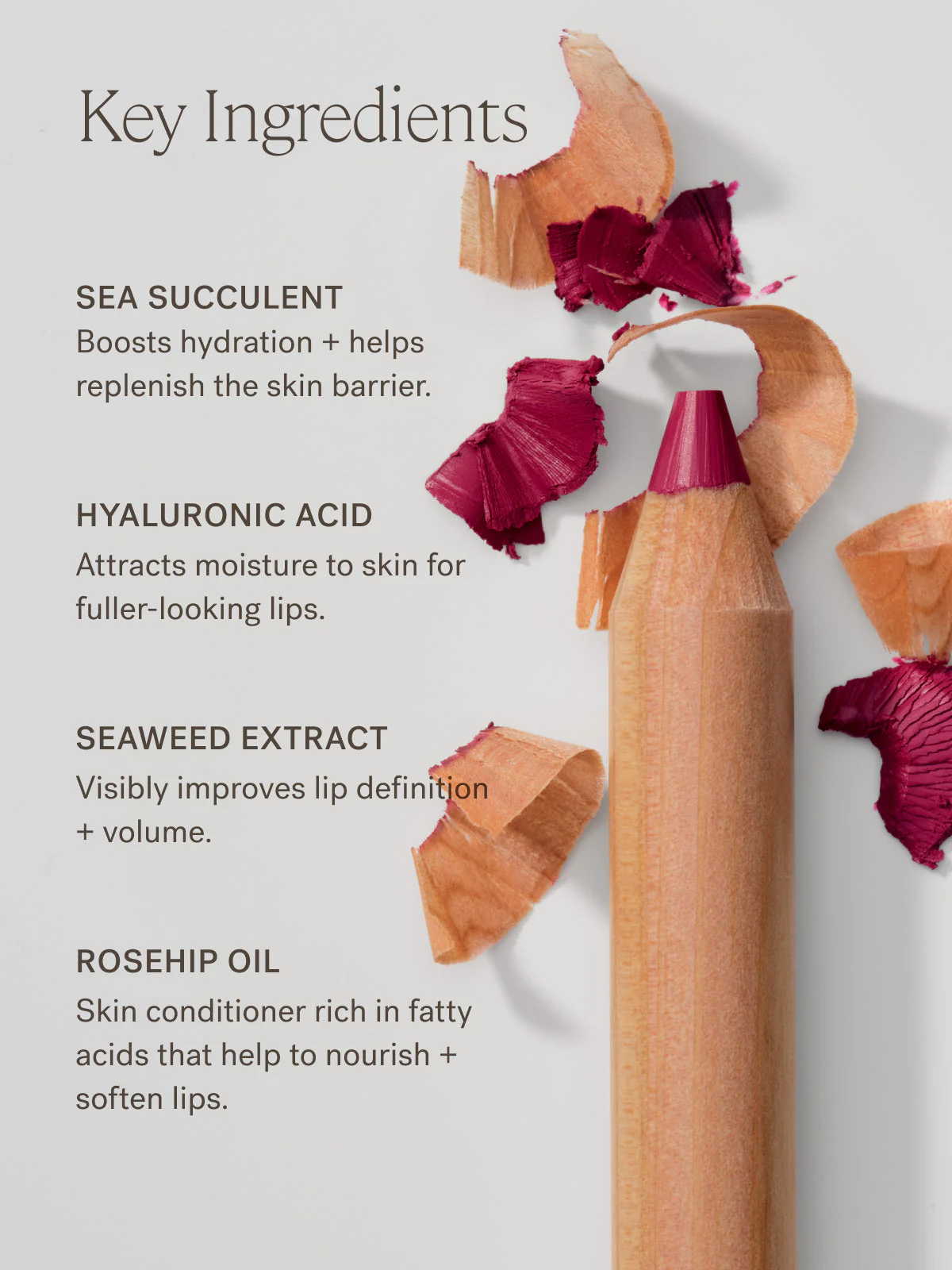 The Lip Sketch Trio 4 The Lip Sketch Trio