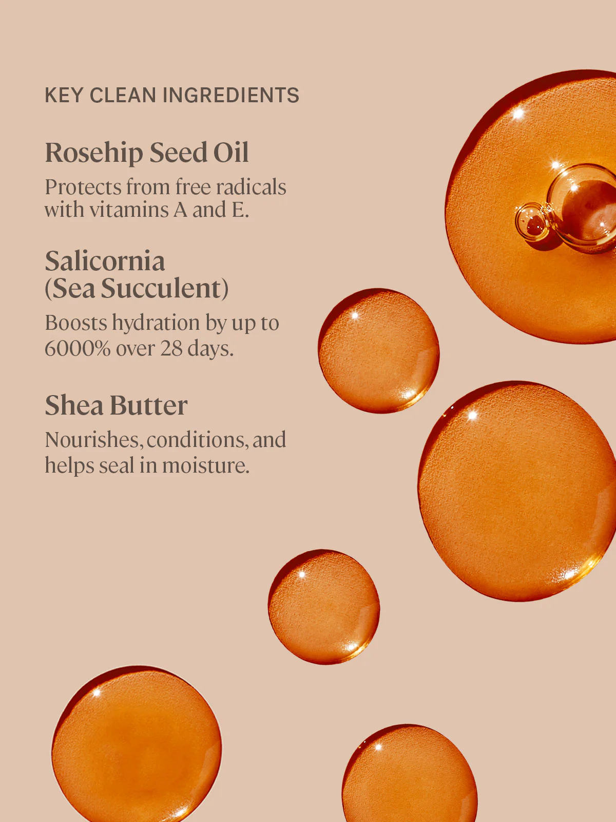 Balmy Tint Hydrating Lip Balm 6 Balmy Tint Hydrating Lip Balm