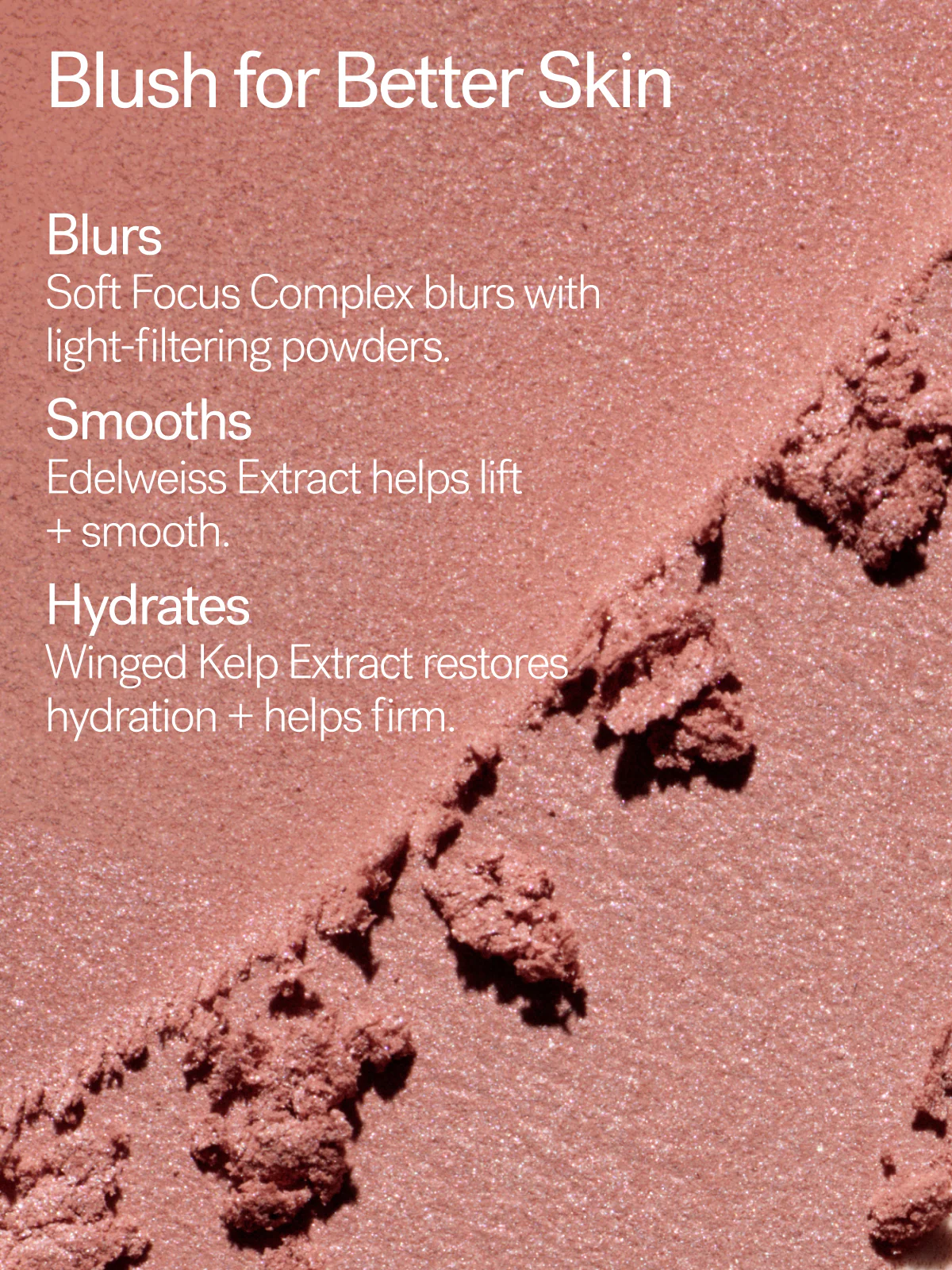 Soft Focus Blurring Blush 12 Soft Focus Blurring Blush