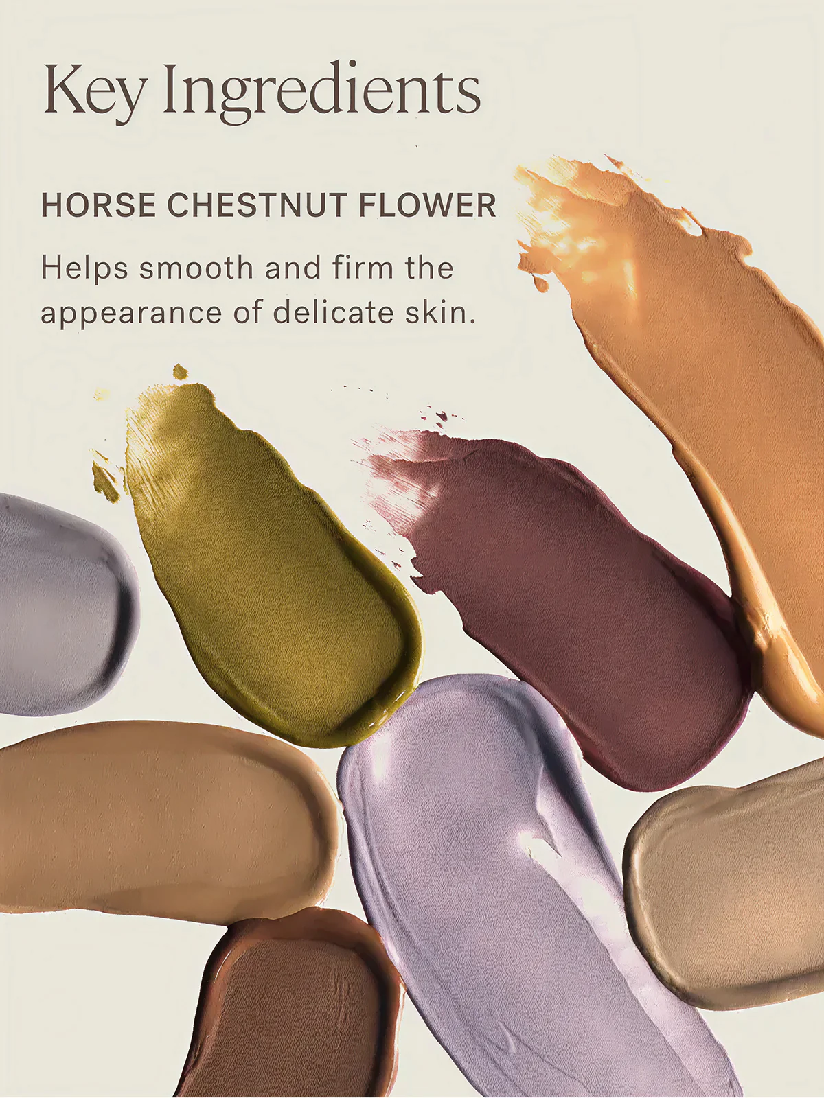 Liquid Powder Eye Tint 5 Liquid Powder Eye Tint