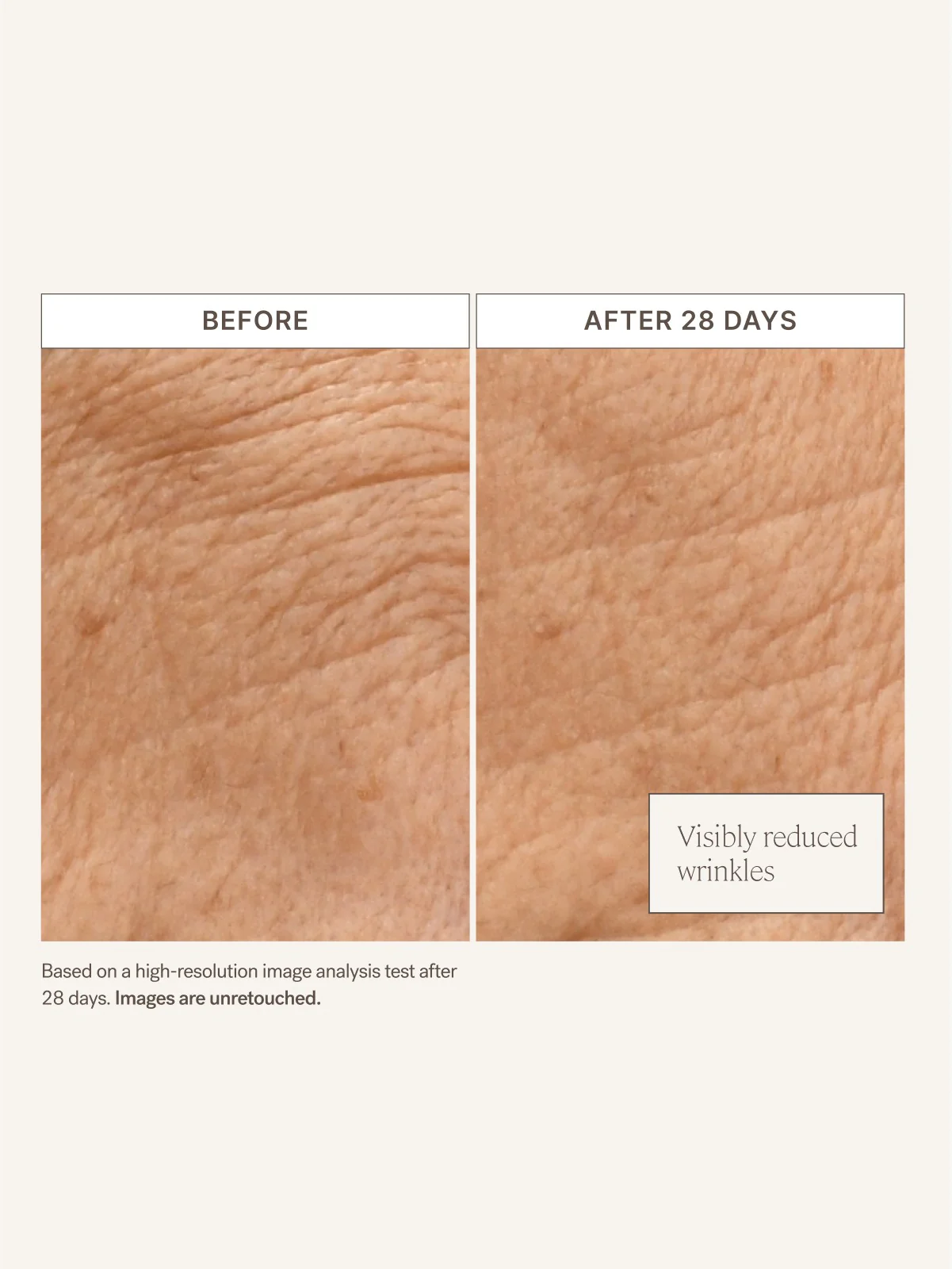 Barrier Build Skin Protectant Cream 5 Barrier Build Skin Protectant Cream