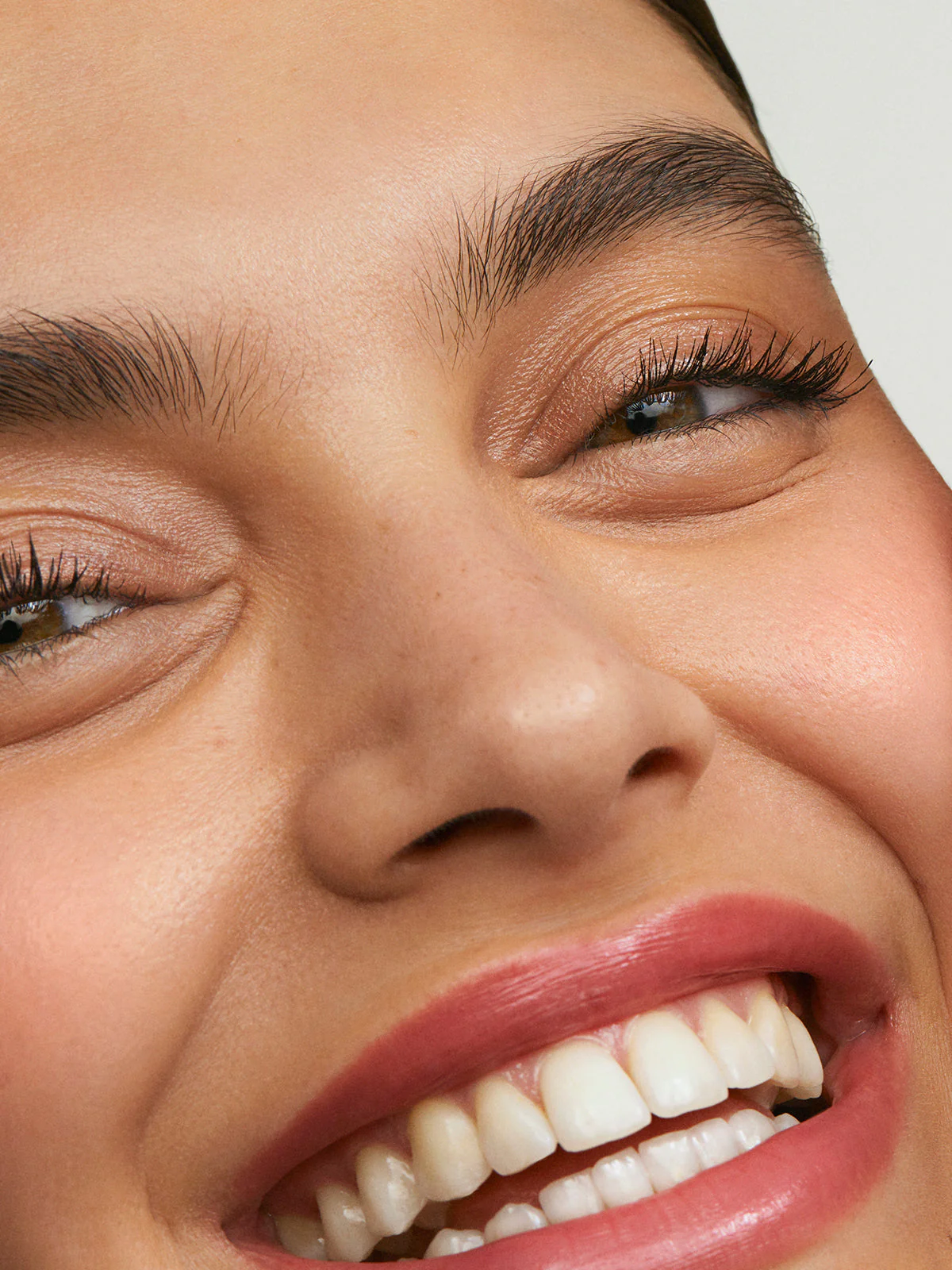 The Cult Classics 6 The Cult Classics